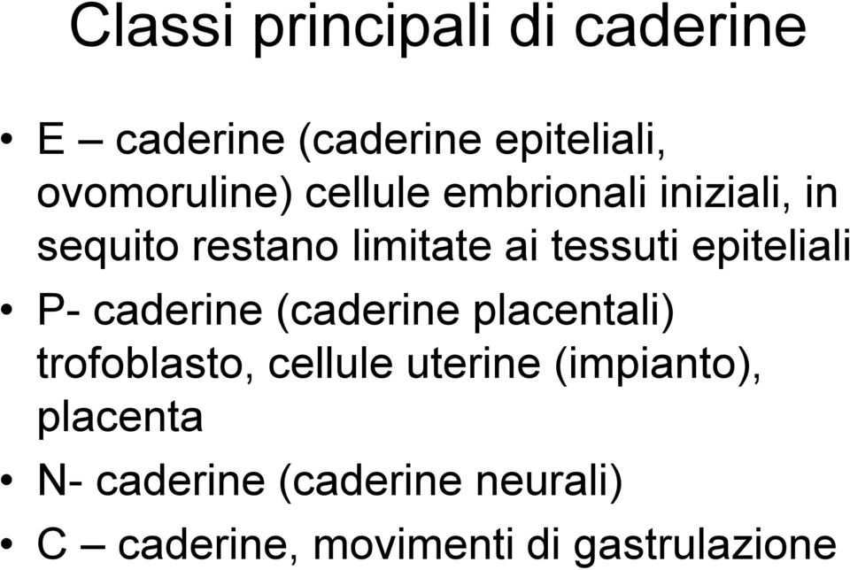 epiteliali P- caderine (caderine placentali) trofoblasto, cellule uterine