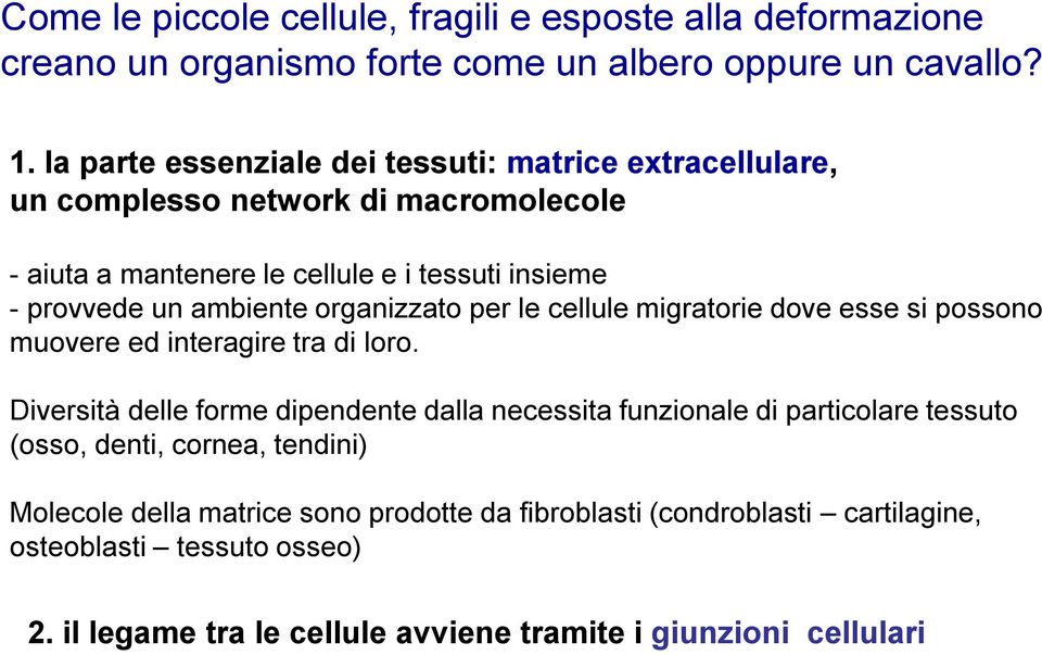 ambiente organizzato per le cellule migratorie dove esse si possono muovere ed interagire tra di loro.