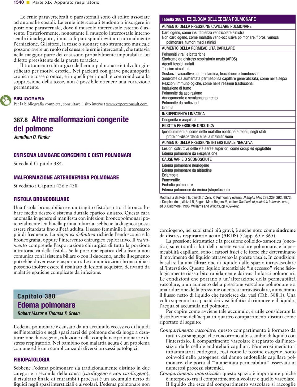 Posteriormente, nonostante il muscolo intercostale interno sembri inadeguato, i muscoli paraspinali evitano normalmente l erniazione.