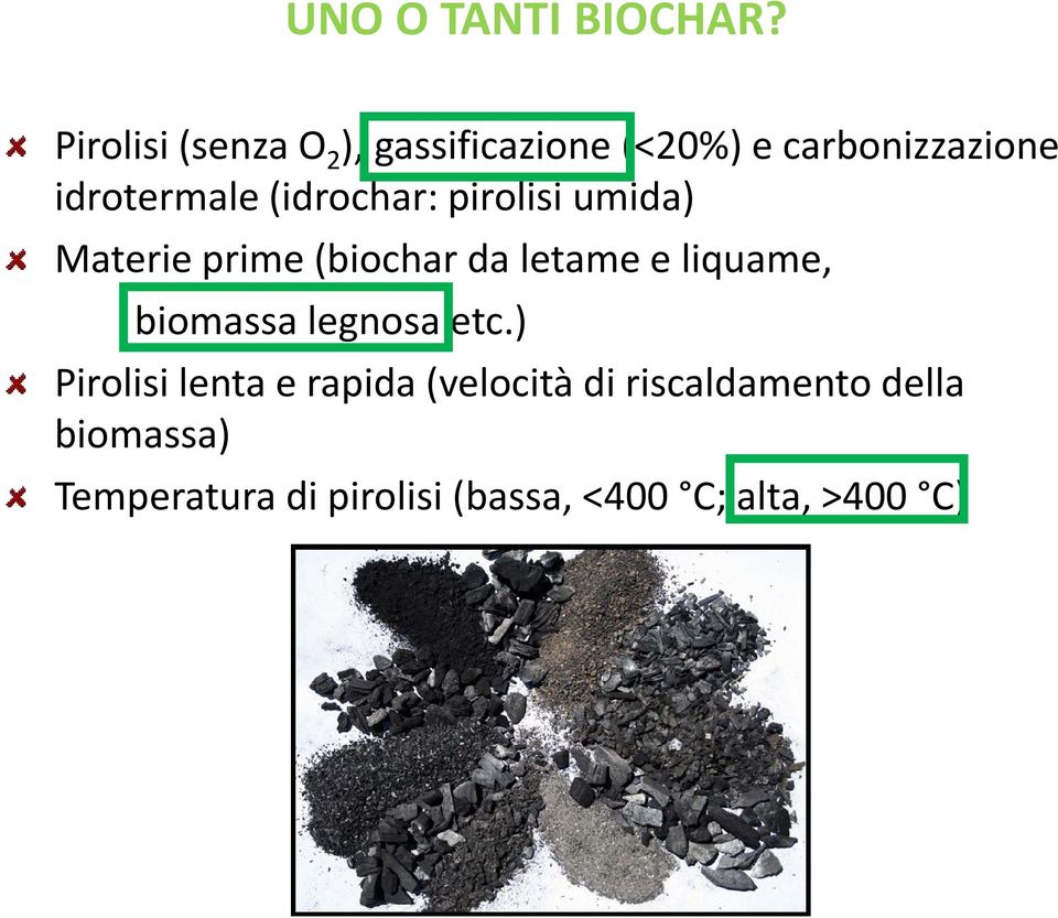 (idrochar: pirolisi umida) Materie prime (biochar da letame e liquame,