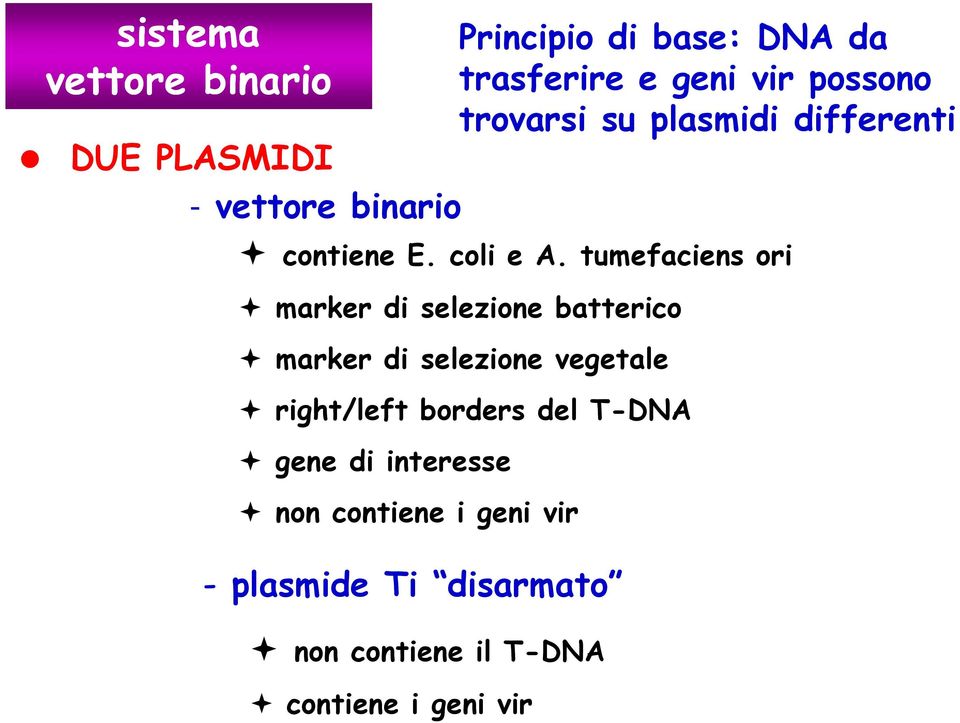 DNA da trasferire e geni vir possono trovarsi su plasmidi differenti right/left borders del