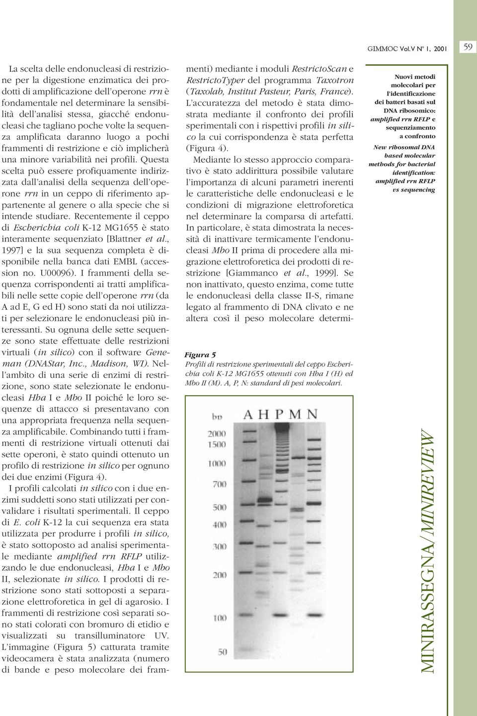 stessa, giacché endonucleasi che tagliano poche volte la sequenza amplificata daranno luogo a pochi frammenti di restrizione e ciò implicherà una minore variabilità nei profili.