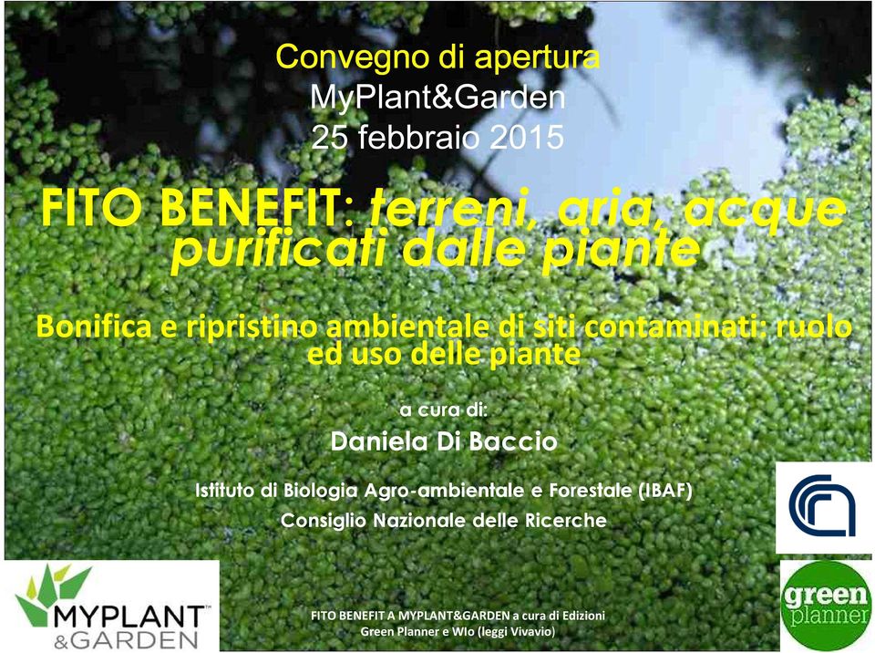 cura di: Daniela Di Baccio Istituto di Biologia Agro-ambientale e Forestale (IBAF) Consiglio