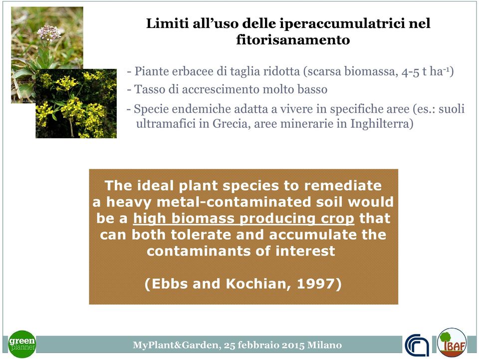 : suoli ultramafici in Grecia, aree minerarie in Inghilterra) The ideal plant species to remediate a heavy