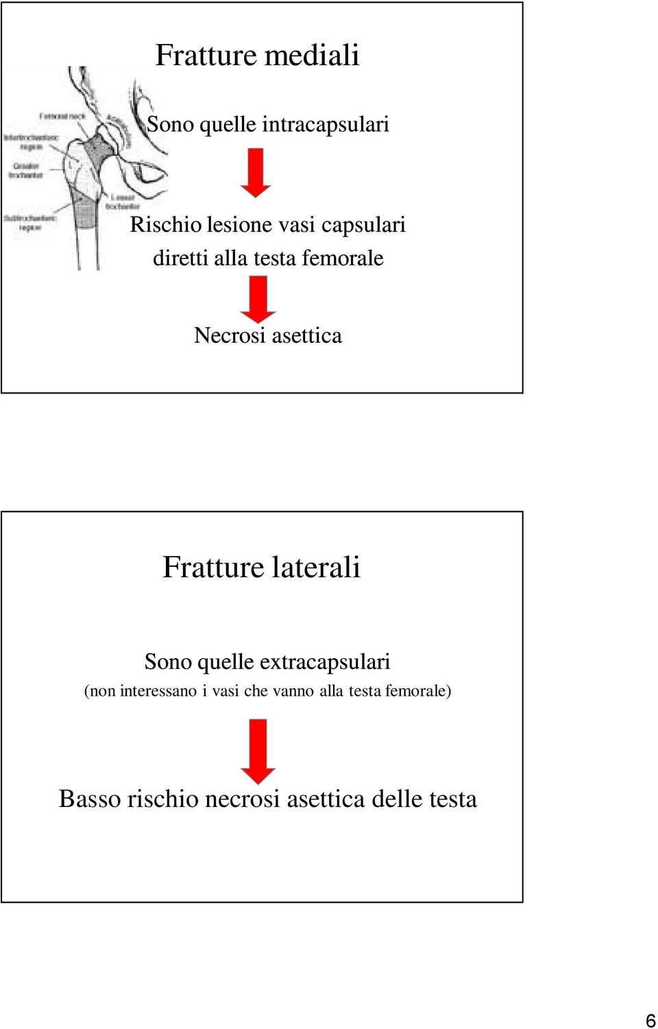 laterali Sono quelle extracapsulari (non interessano i vasi che