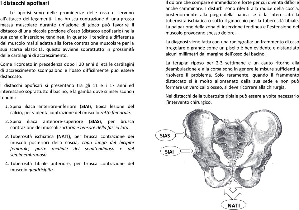 Come ricordato in precedenza dopo i 20 anni di età le cartilagini distaccato.