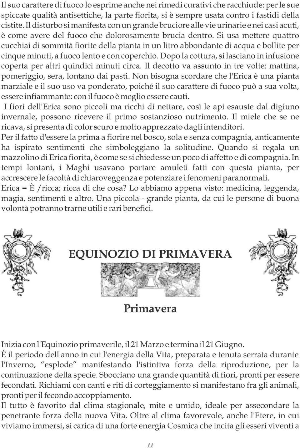 Si usa mettere quattro cucchiai di sommità fiorite della pianta in un litro abbondante di acqua e bollite per cinque minuti, a fuoco lento e con coperchio.