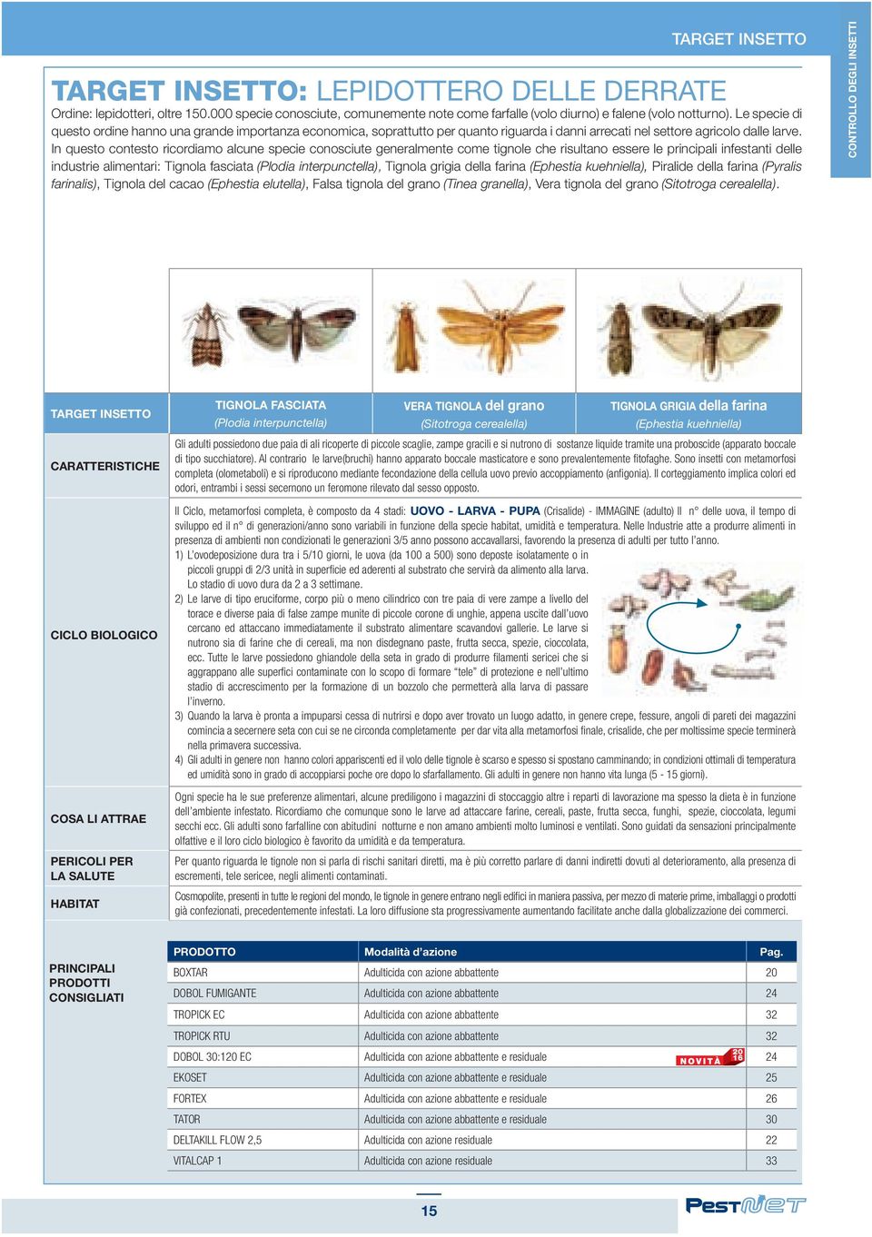 Le specie di questo ordine hanno una grande importanza economica, soprattutto per quanto riguarda i danni arrecati nel settore agricolo dalle larve.