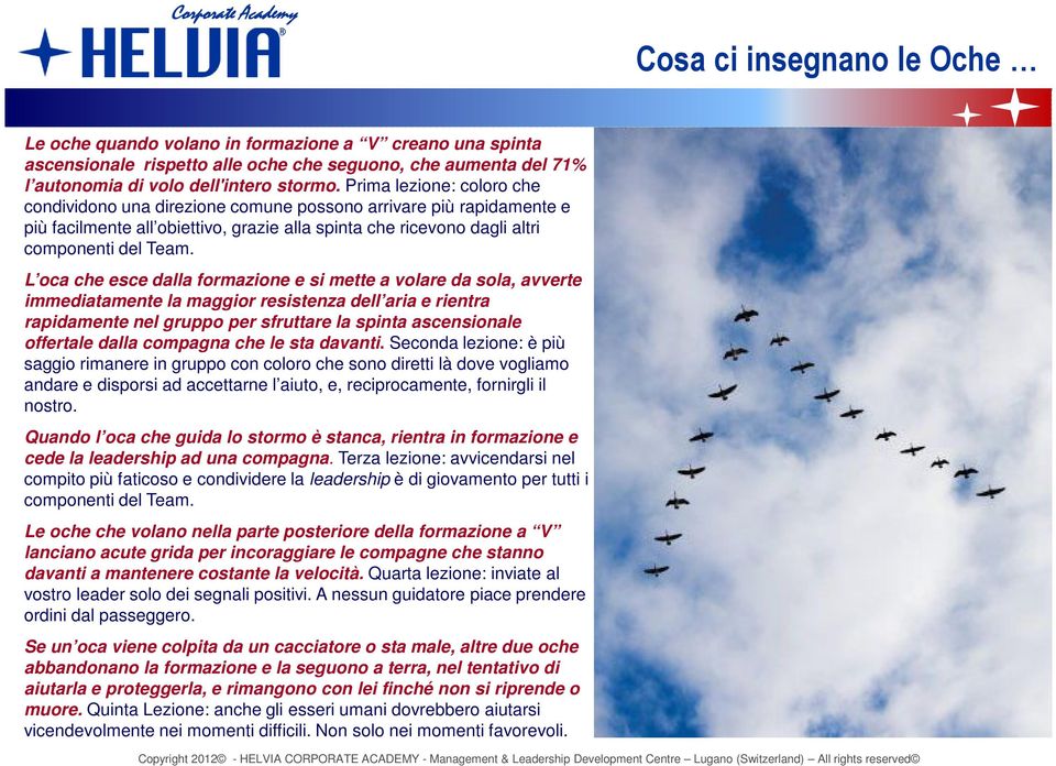 L oca che esce dalla formazione e si mette a volare da sola, avverte immediatamente la maggior resistenza dell aria e rientra rapidamente nel gruppo per sfruttare la spinta ascensionale offertale