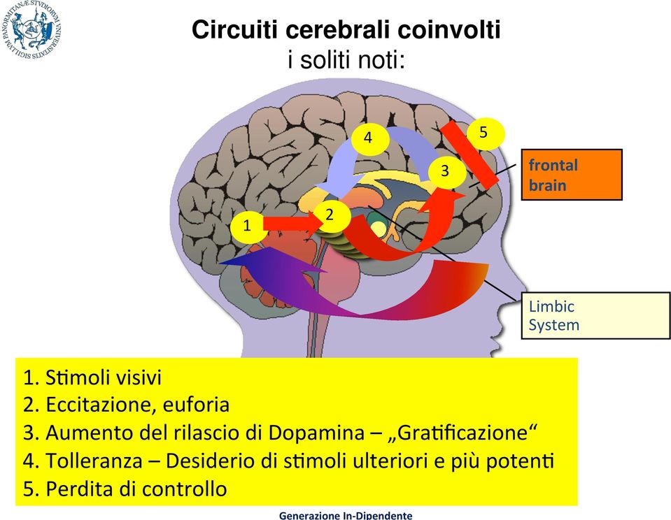 Aumento del rilascio di Dopamina Gra%ficazione 4.