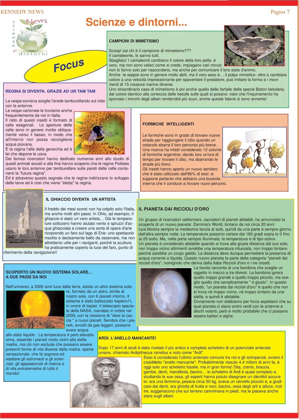 Le aperture delle celle sono in genere rivolte obliquamente verso il basso, in modo che all'interno non possa raccogliersi acqua piovana.