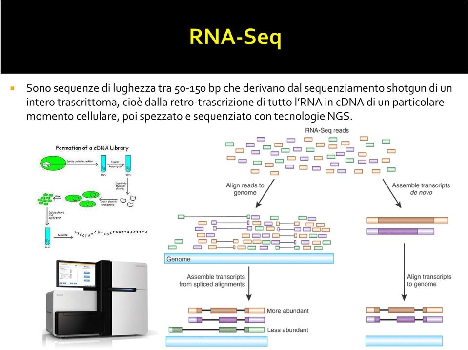 retro-trascrizione di tutto l RNA in cdna di un particolare