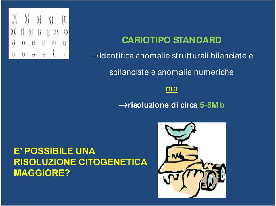 anomalie numeriche ma risoluzione di circa