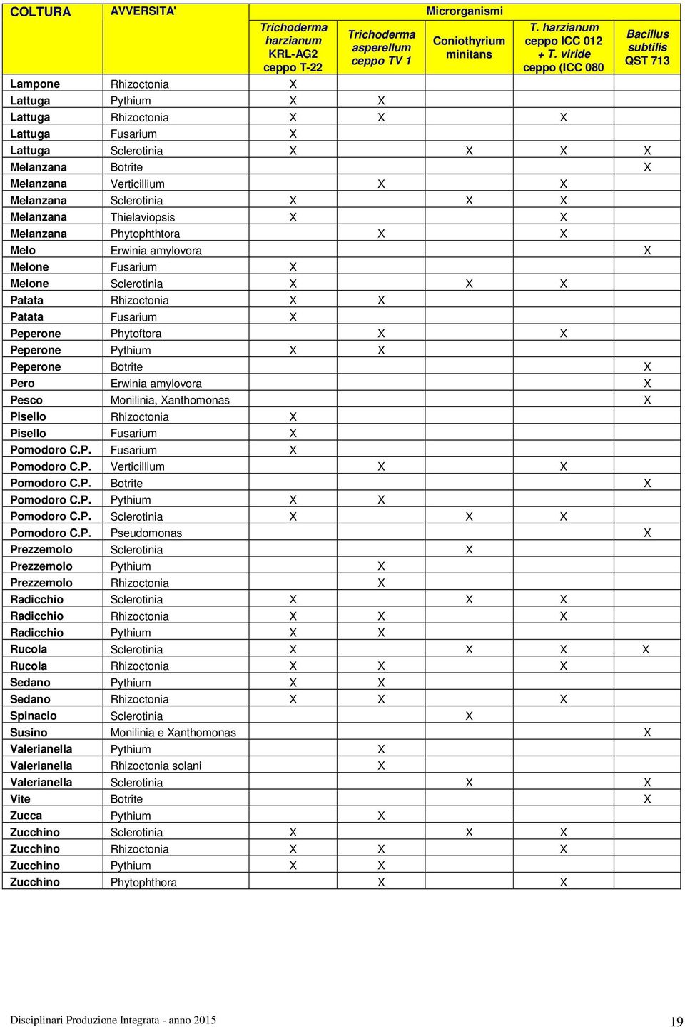 viride ceppo (ICC 080 Lattuga Rhizoctonia X X X Lattuga Fusarium X Lattuga Sclerotinia X X X X Melanzana Botrite X Melanzana Verticillium X X Melanzana Sclerotinia X X X Melanzana Thielaviopsis X X