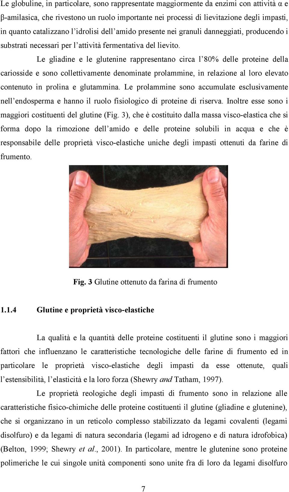 Le gliadine e le glutenine rappresentano circa l 80% delle proteine della cariosside e sono collettivamente denominate prolammine, in relazione al loro elevato contenuto in prolina e glutammina.