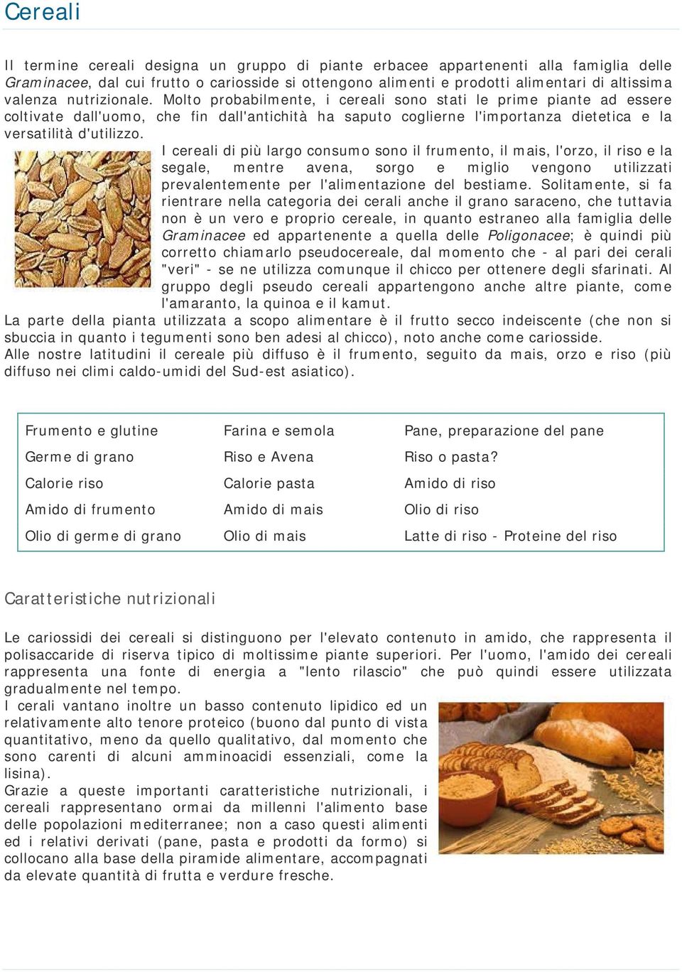 Molto probabilmente, i cereali sono stati le prime piante ad essere coltivate dall'uomo, che fin dall'antichità ha saputo coglierne l'importanza dietetica e la versatilità d'utilizzo.