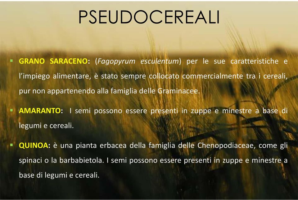 AMARANTO: I semi possono essere presenti in zuppe e minestre a base di legumi e cereali.