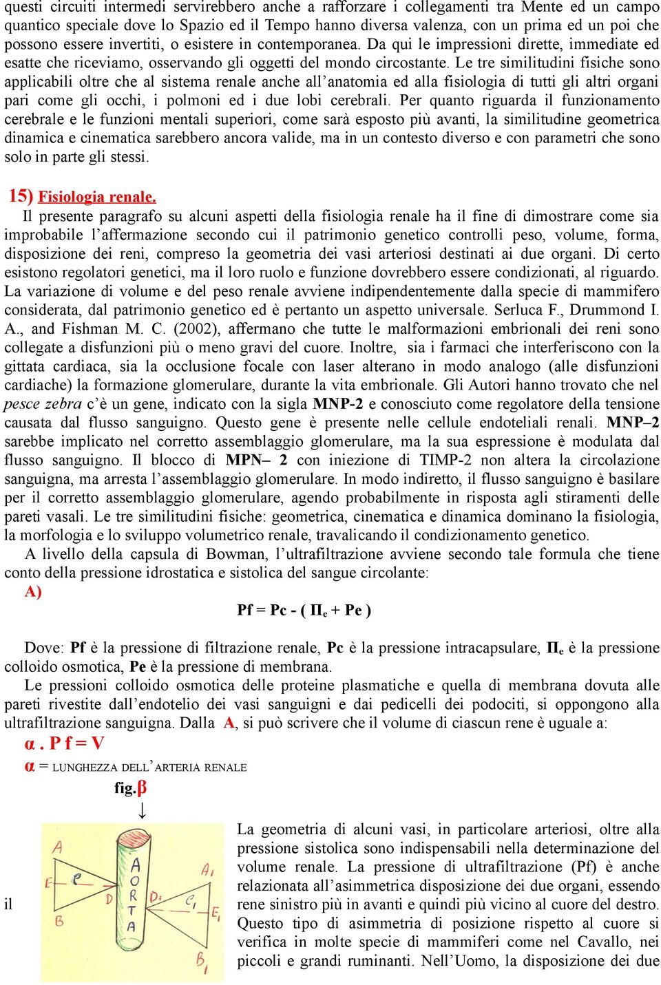 Le tre similitudini fisiche sono applicabili oltre che al sistema renale anche all anatomia ed alla fisiologia di tutti gli altri organi pari come gli occhi, i polmoni ed i due lobi cerebrali.