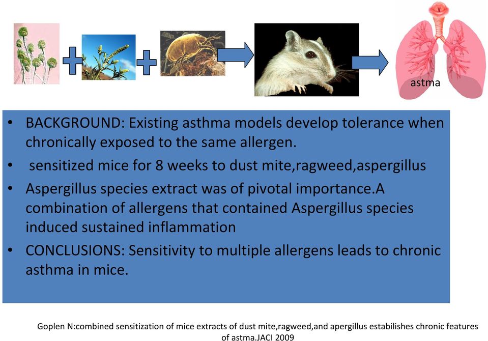 a combination of allergens that contained Aspergillus species induced sustained inflammation CONCLUSIONS: Sensitivity to multiple