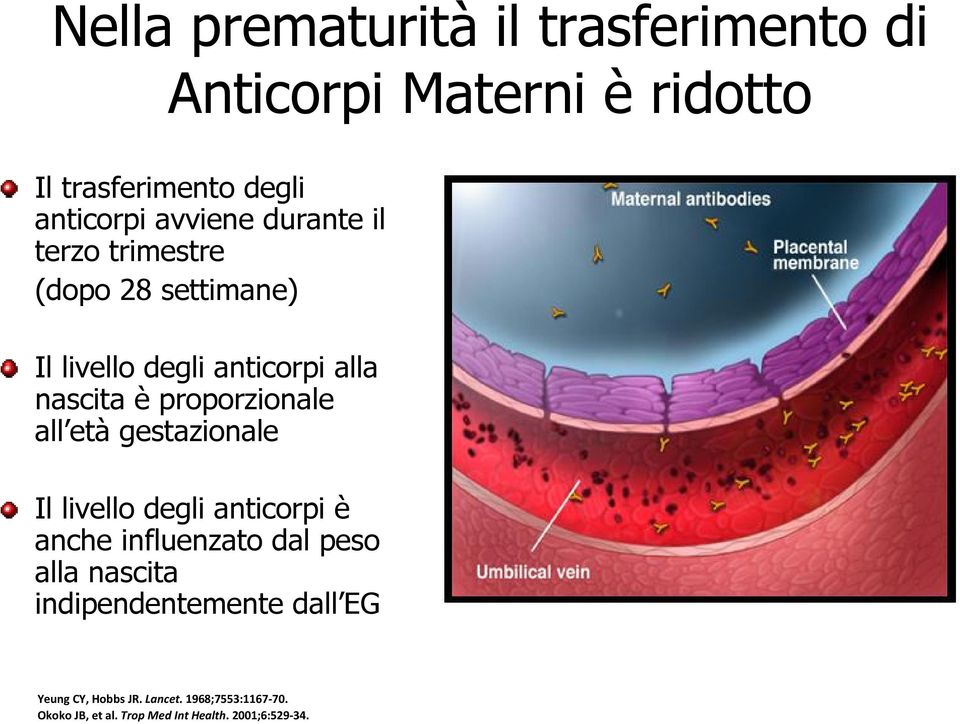 proporzionale all età gestazionale Il livello degli anticorpi è anche influenzato dal peso alla nascita