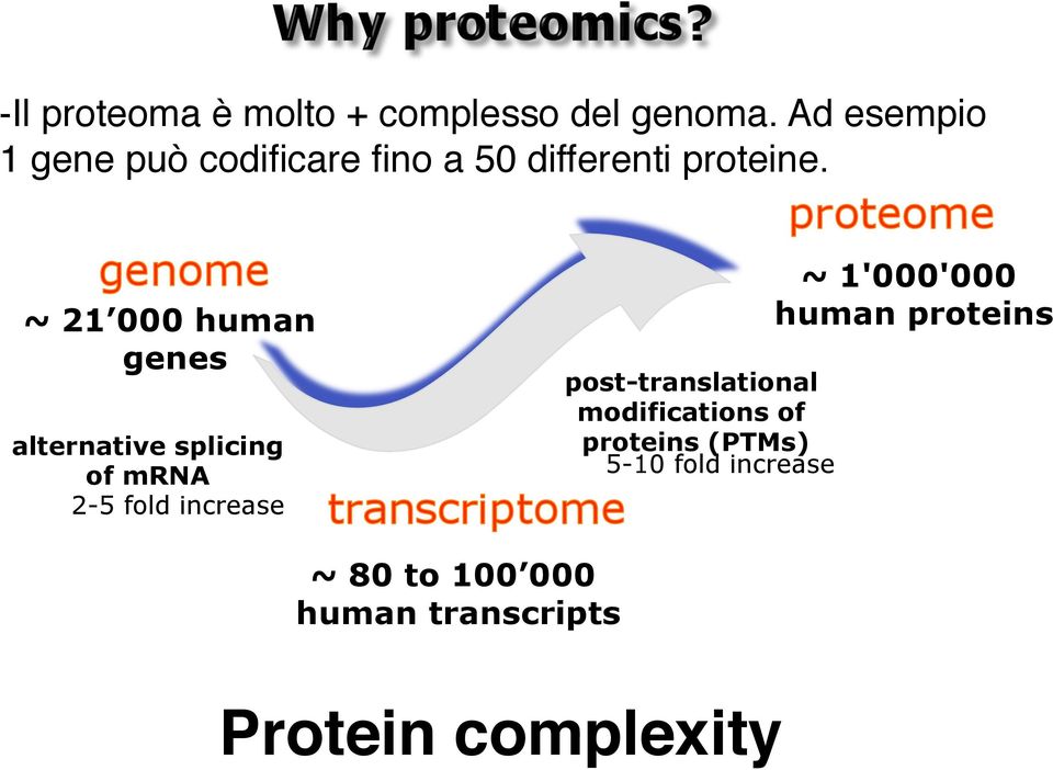 ! ~ 21 000 human genes alternative splicing of mrna 2-5 fold increase