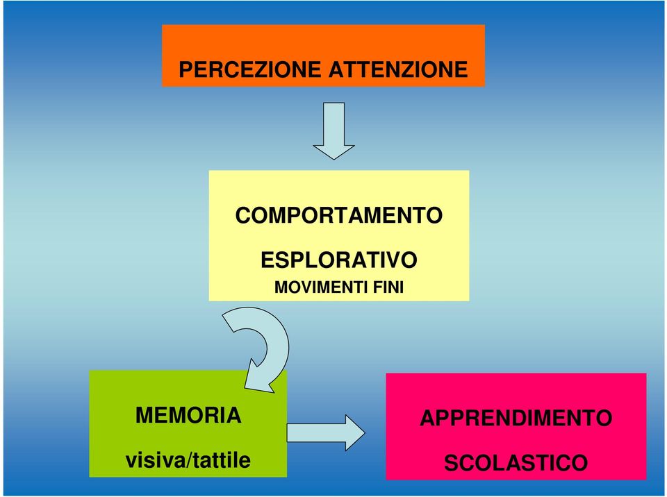 MOVIMENTI FINI MEMORIA