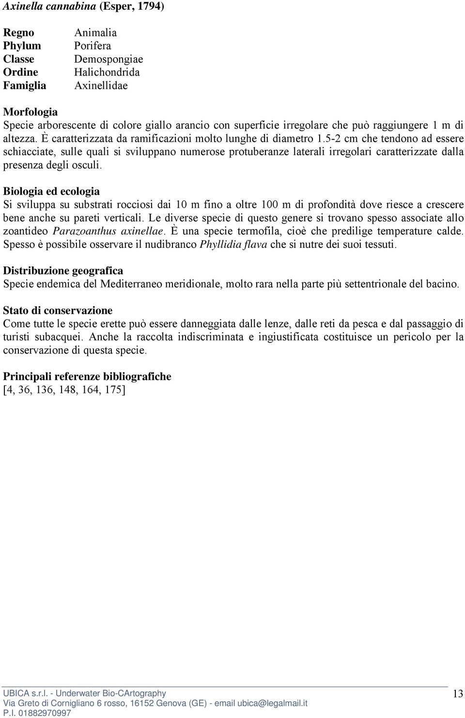 5-2 cm che tendono ad essere schiacciate, sulle quali si sviluppano numerose protuberanze laterali irregolari caratterizzate dalla presenza degli osculi.