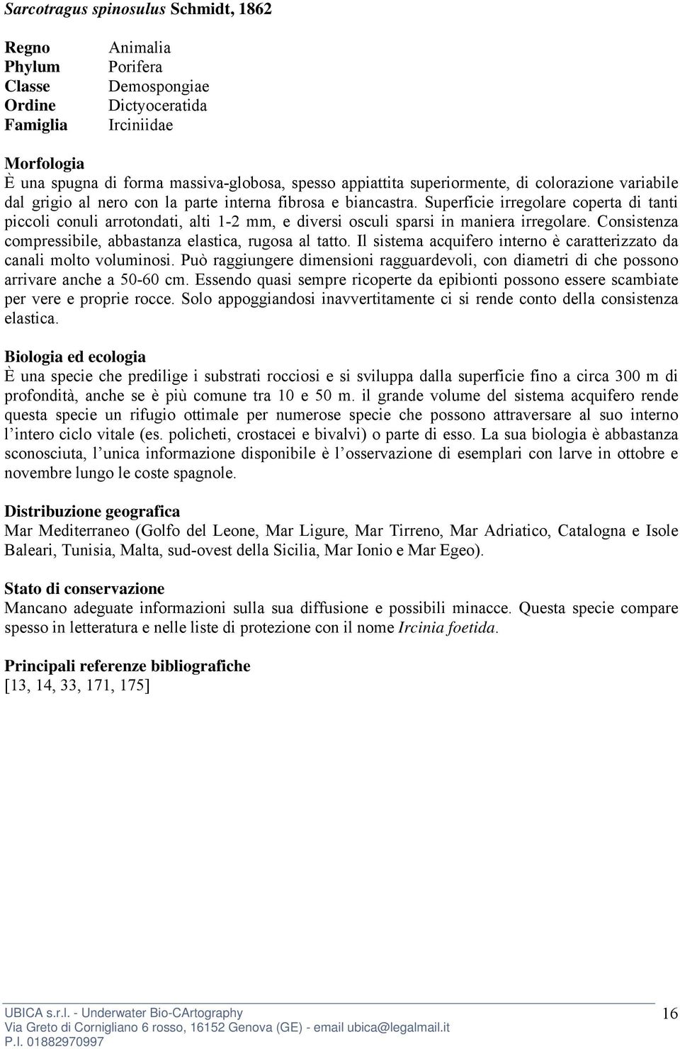 Consistenza compressibile, abbastanza elastica, rugosa al tatto. Il sistema acquifero interno è caratterizzato da canali molto voluminosi.