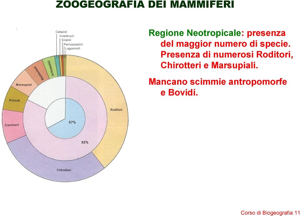 Presenza di numerosi Roditori, Chirotteri e