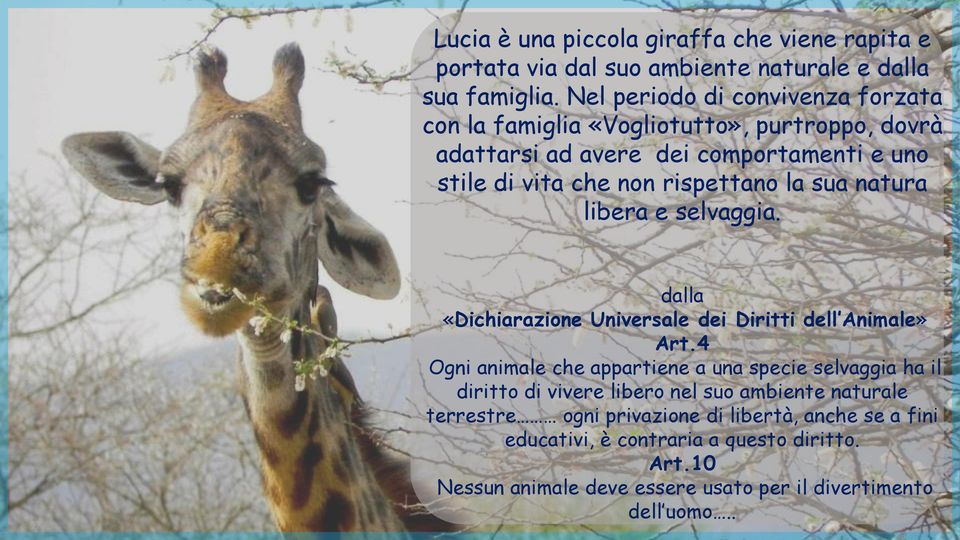 la sua natura libera e selvaggia. dalla «Dichiarazione Universale dei Diritti dell Animale» Art.