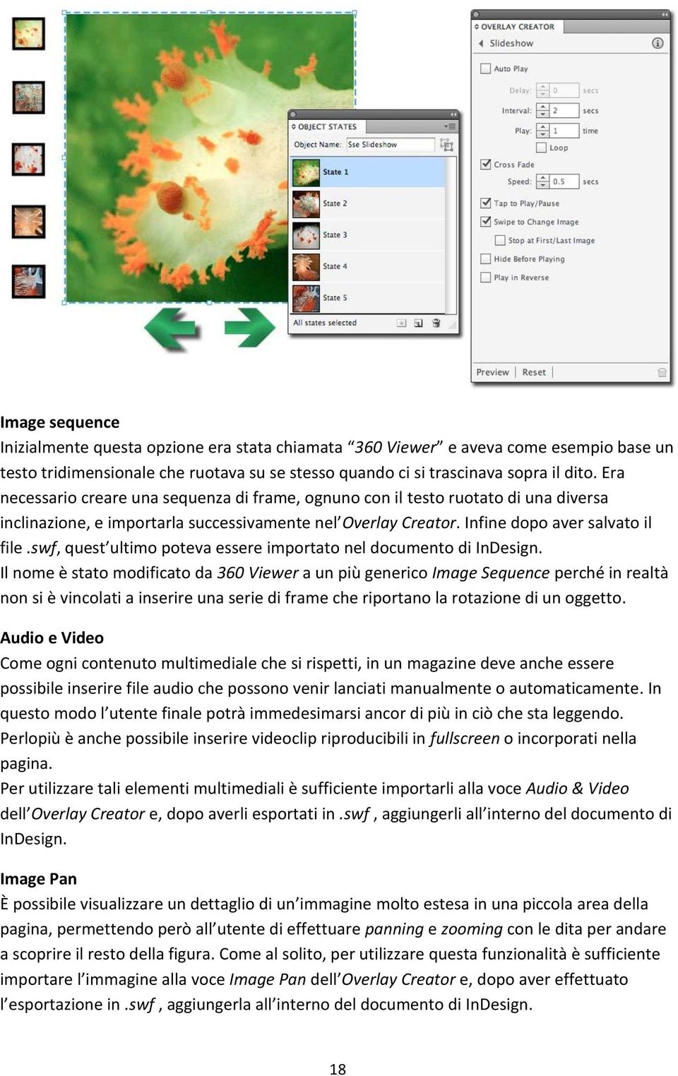 swf, quest ultimo poteva essere importato nel documento di InDesign.