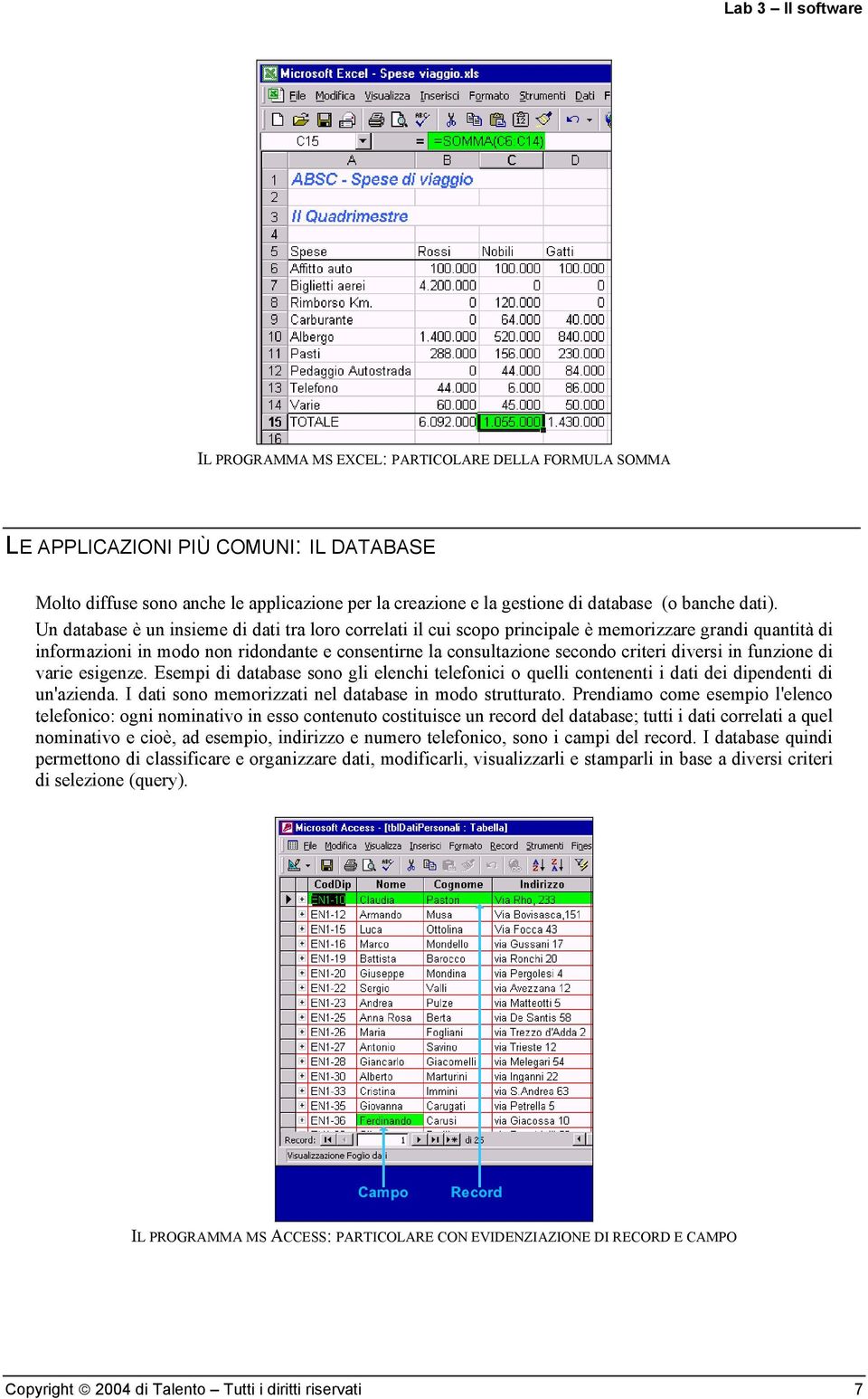 in funzione di varie esigenze. Esempi di database sono gli elenchi telefonici o quelli contenenti i dati dei dipendenti di un'azienda. I dati sono memorizzati nel database in modo strutturato.