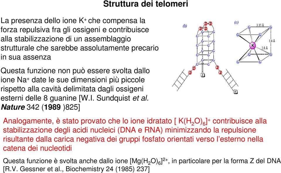 Sundquist et al.