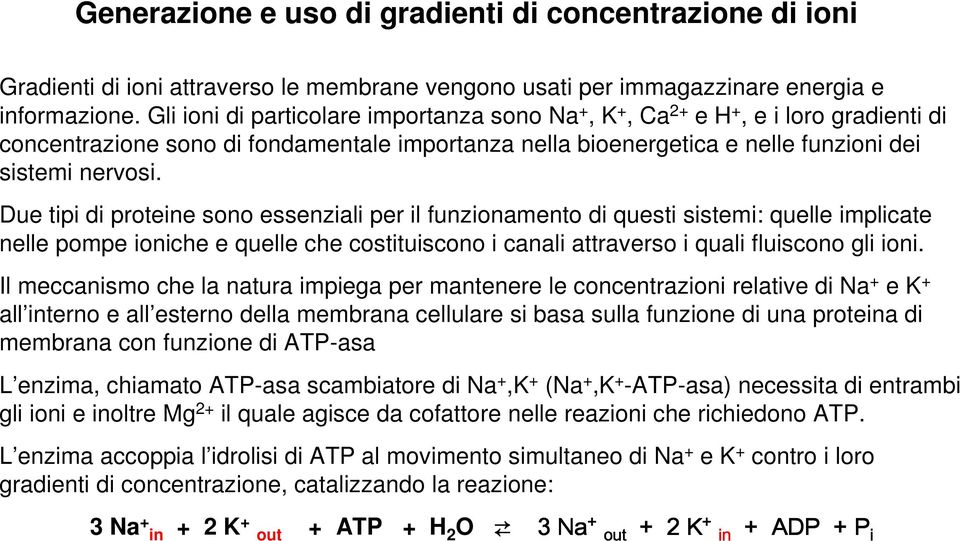 Due tipi di proteine sono essenziali per il funzionamento di questi sistemi: quelle implicate nelle pompe ioniche e quelle che costituiscono i canali attraverso i quali fluiscono gli ioni.