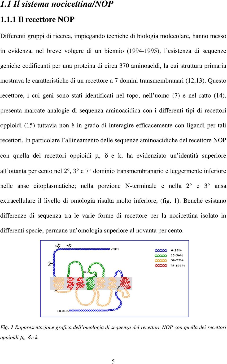 Questo recettore, i cui geni sono stati identificati nel topo, nell uomo (7) e nel ratto (14), presenta marcate analogie di sequenza aminoacidica con i differenti tipi di recettori oppioidi (15)