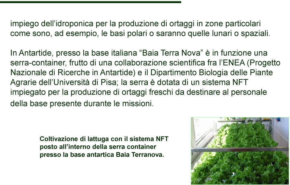 Ricerche in Antartide) e il Dipartimento Biologia delle Piante Agrarie dell Università di Pisa; la serra è dotata di un sistema NFT impiegato per la produzione di