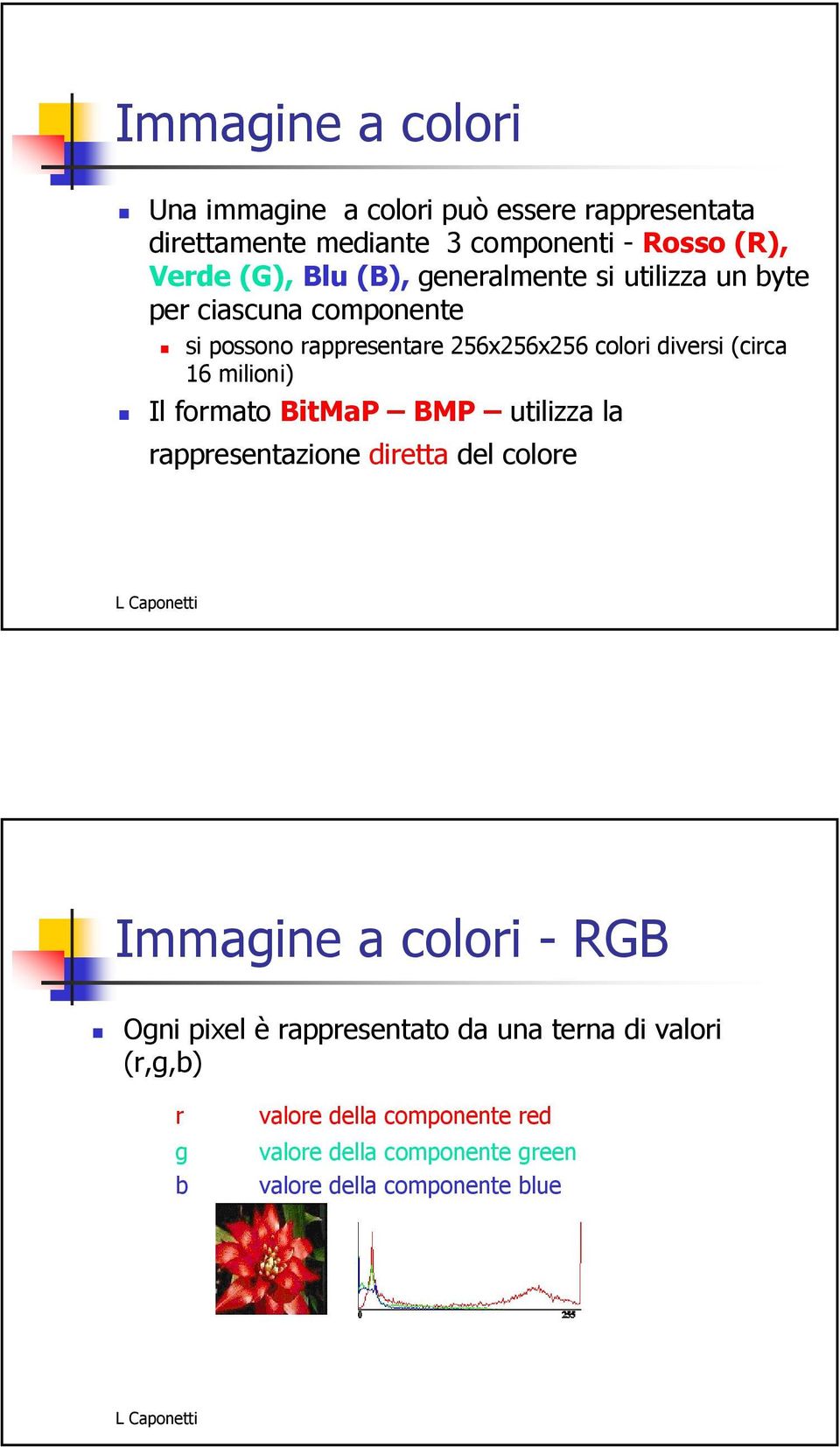16 milioni) Il formato BitMaP BMP utilizza la rappresentazione diretta del colore Immagine a colori - RGB Ogni pixel è