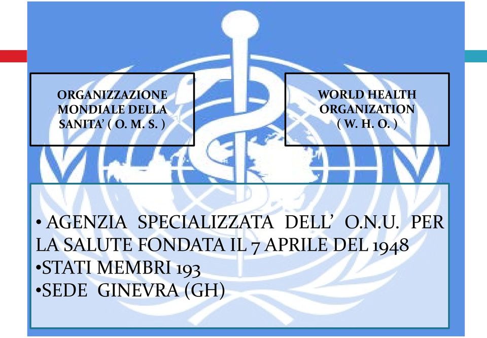 H. O. ) AGENZIA SPECIALIZZATA DELL O.N.U.