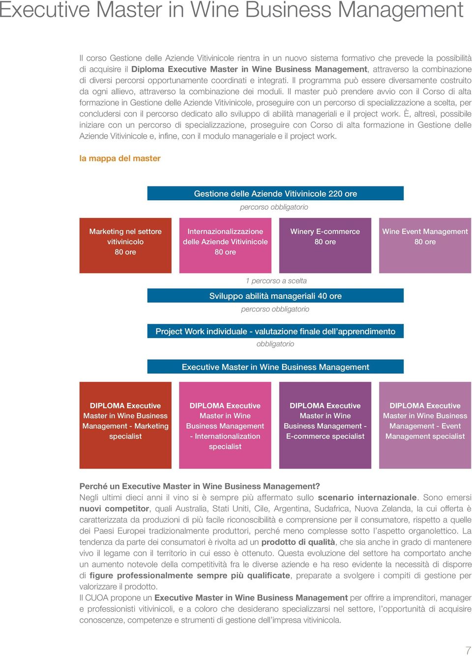 Il programma può essere diversamente costruito da ogni allievo, attraverso la combinazione dei moduli.