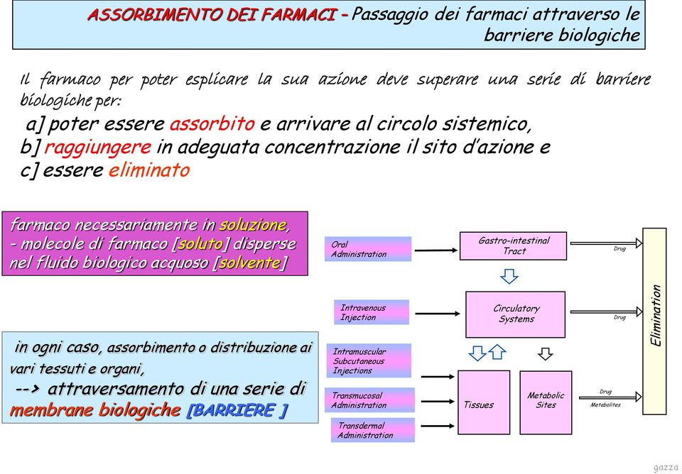 disperse nel fluido biologico acquoso [solvente] Oral Administration Gastro-intestinal Tract Drug in ogni caso, assorbimento o distribuzione ai vari tessuti e organi, --> attraversamento di una serie