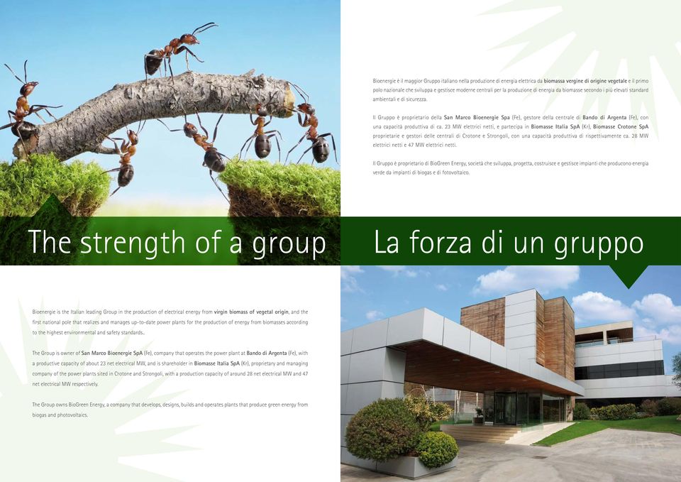 Il Gruppo è proprietario della San Marco Bioenergie Spa (Fe), gestore della centrale di Bando di Argenta (Fe), con una capacità produttiva di ca.