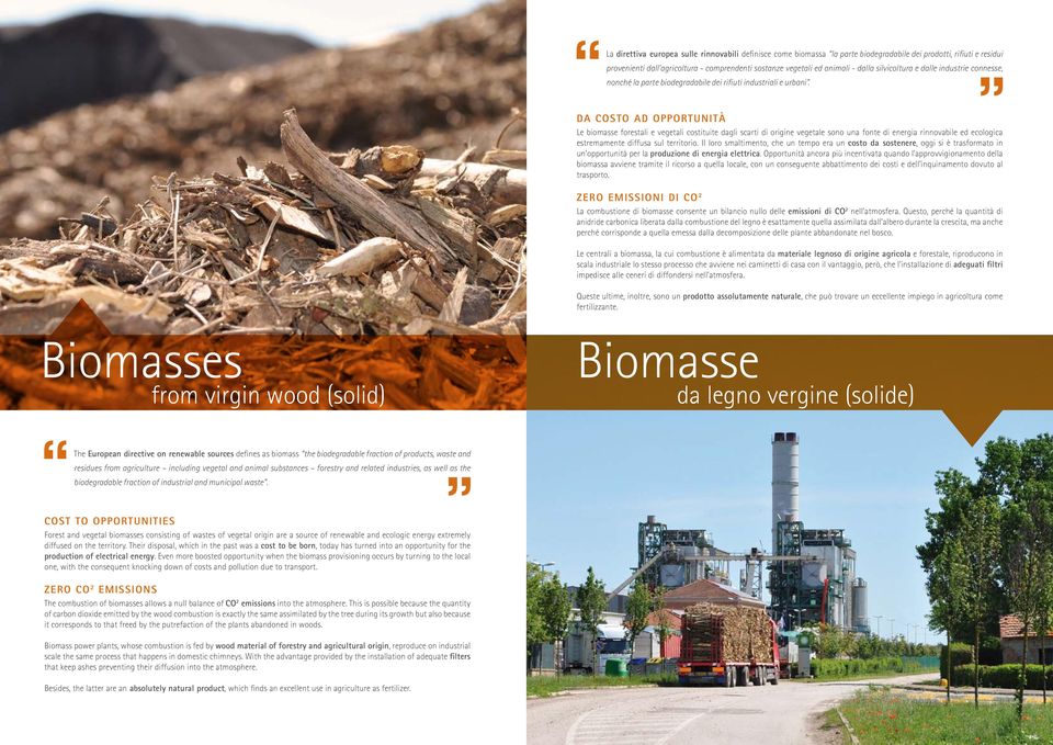 DA COSTO AD OPPORTUNITÀ Le biomasse forestali e vegetali costituite dagli scarti di origine vegetale sono una fonte di energia rinnovabile ed ecologica estremamente diffusa sul territorio.