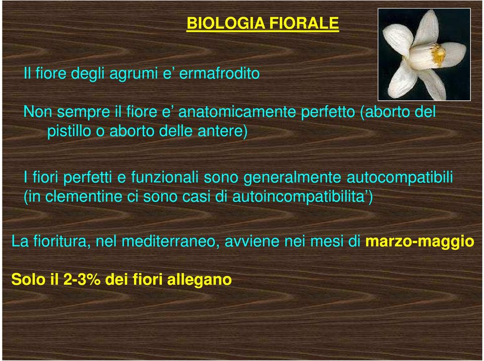 funzionali sono generalmente autocompatibili (in clementine ci sono casi di