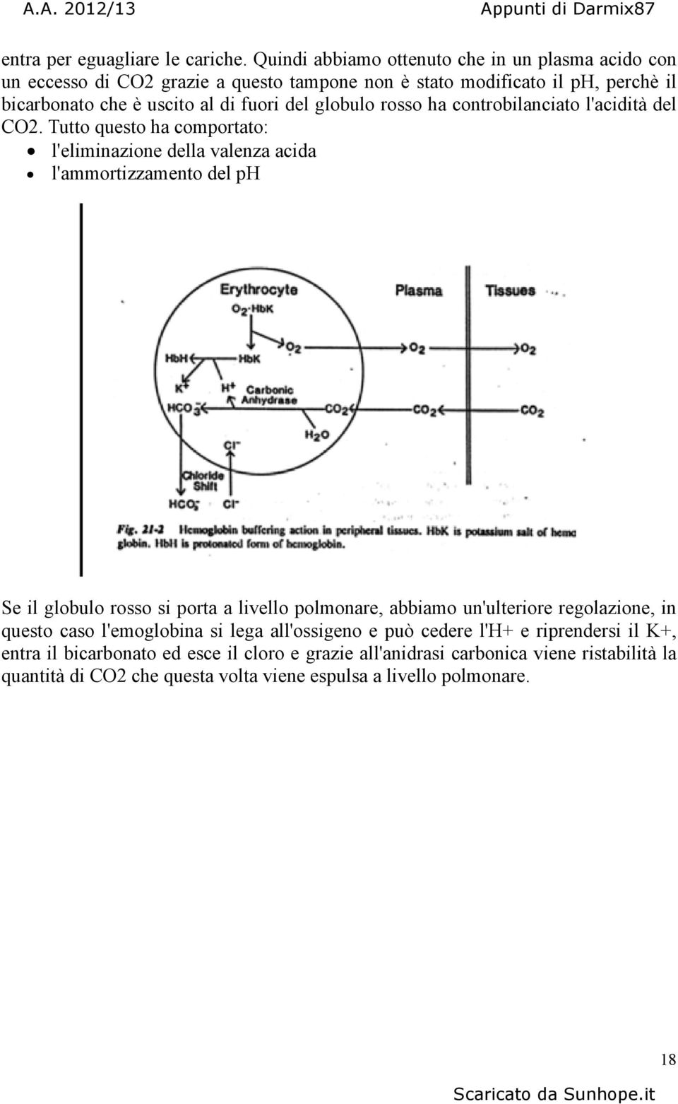 del globulo rosso ha controbilanciato l'acidità del CO2.