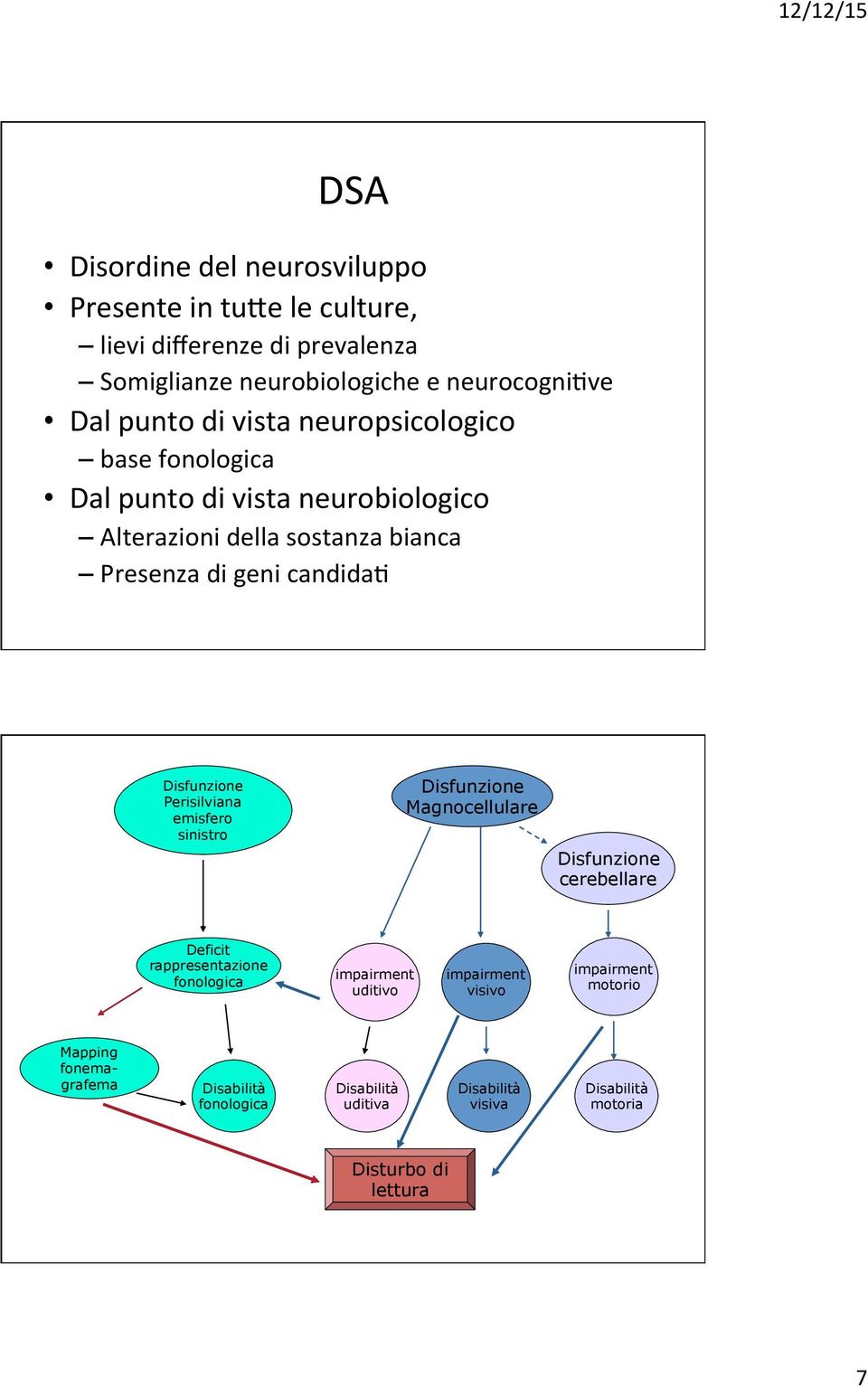 Perisilviana emisfero sinistro Disfunzione Magnocellulare Disfunzione cerebellare Deficit rappresentazione fonologica impairment uditivo impairment