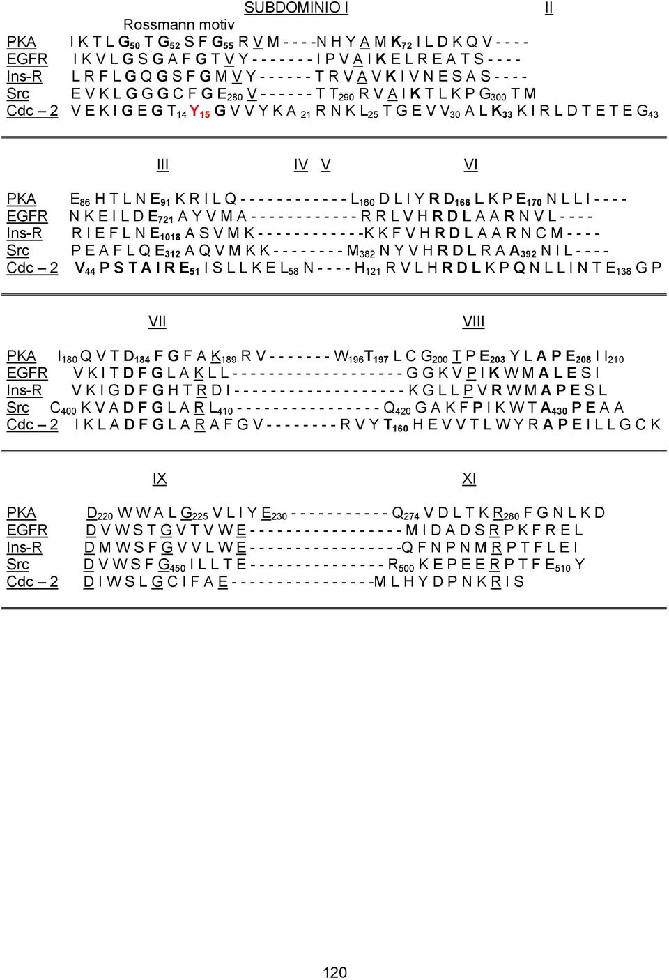 K L 25 T G E V V 30 A L K 33 K I R L D T E T E G 43 III IV V VI PKA E 86 H T L N E 91 K R I L Q - - - - - - - - - - - - L 160 D L I Y R D 166 L K P E 170 N L L I - - - - EGFR N K E I L D E 721 A Y V