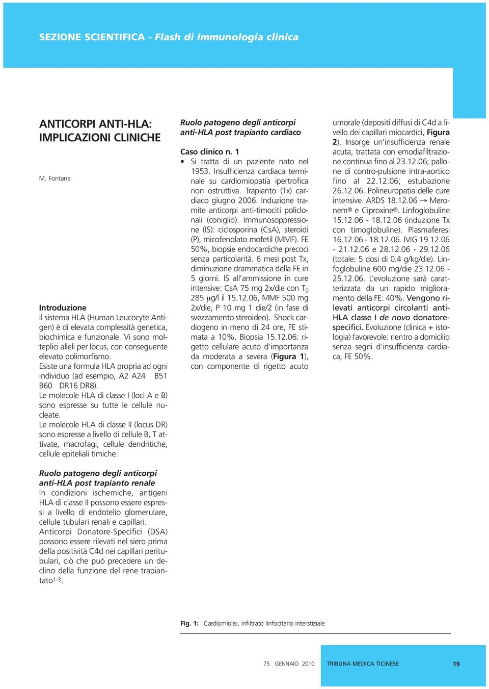 Esiste una formula HLA propria ad ogni individuo (ad esempio, A2 A24 B51 B60 DR16 DR8). Le molecole HLA di classe I (loci A e B) sono espresse su tutte le cellule nucleate.