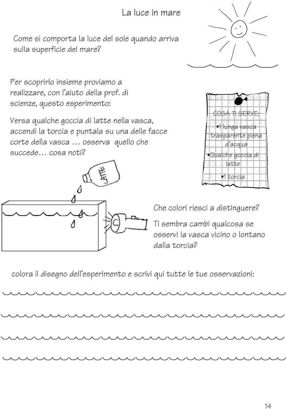 di scienze, questo esperimento: Versa qualche goccia di latte nella vasca, accendi la torcia e puntala su una delle facce corte della vasca osserva