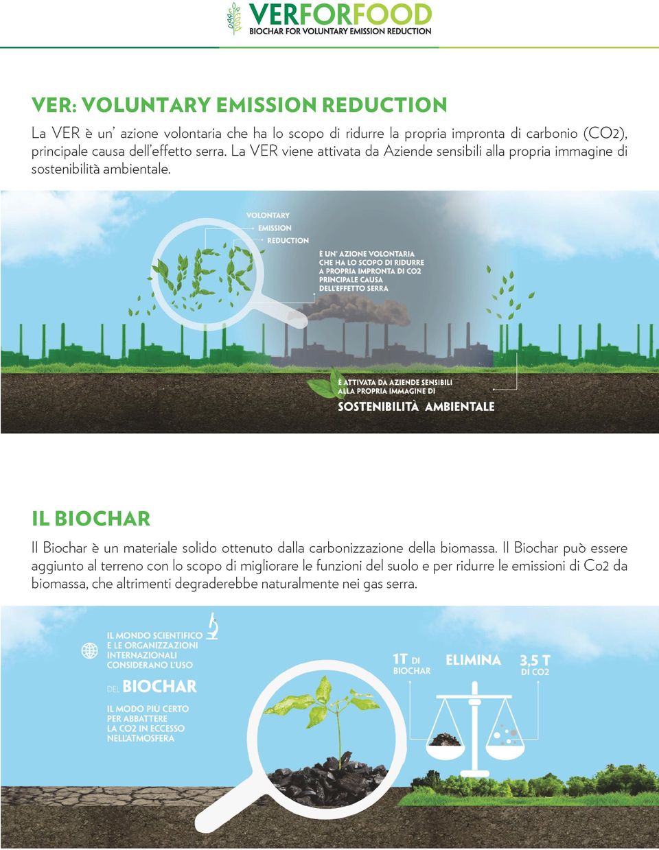 IL BIOCHAR Il Biochar è un materiale solido ottenuto dalla carbonizzazione della biomassa.