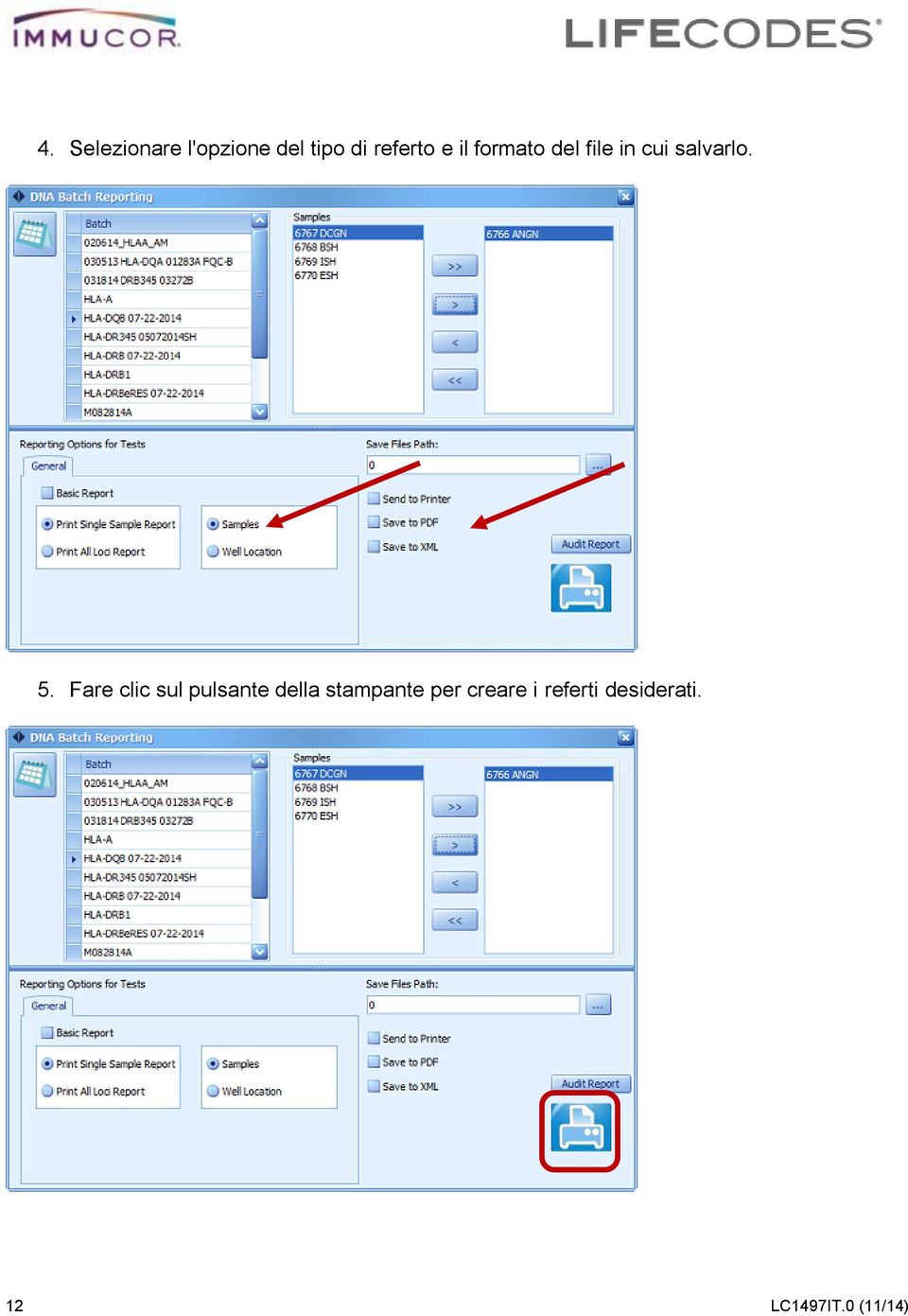 Fare clic sul pulsante della stampante per